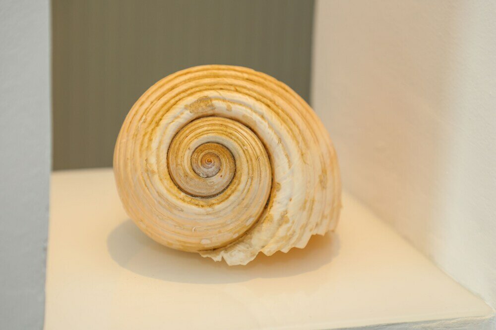 Фото Penthouse with a Sea View