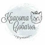 Красота собачья (Красноказарменная ул., 3), зоосалон, зоопарикмахерская в Москве