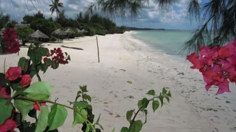 Фото Pakachi Beach Resort & Hotel