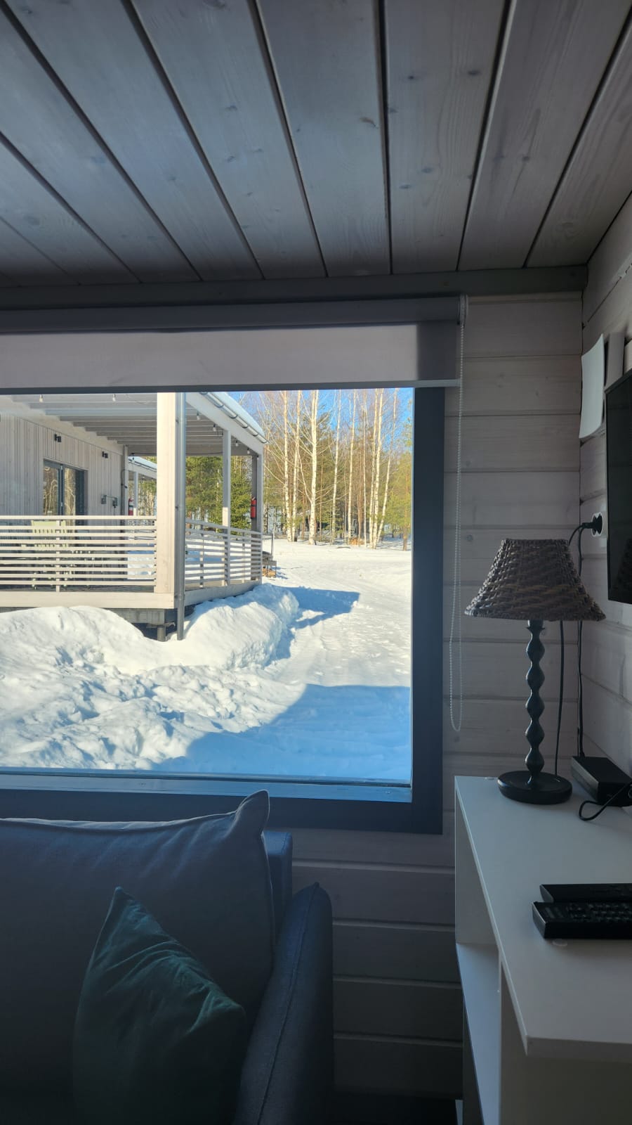 Фото Ёлки зелёные