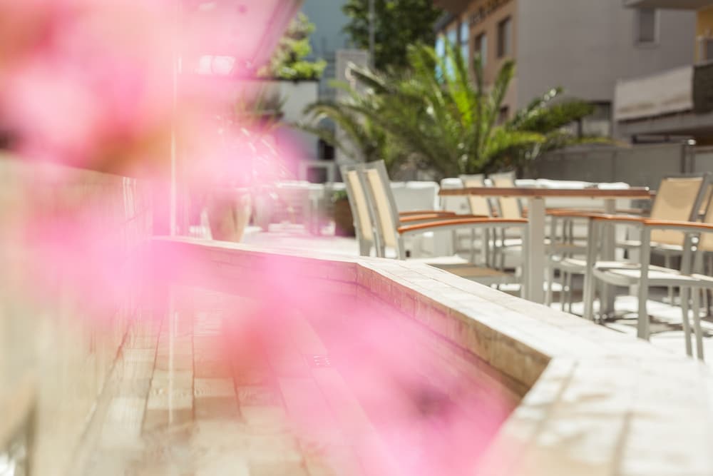 Фото Hotel Gioia