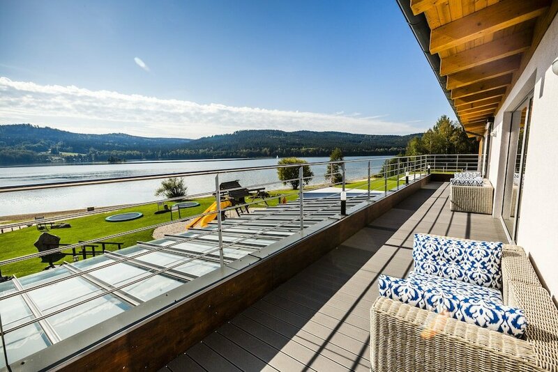 Гостиница Amenity Hotel & Resort Lipno