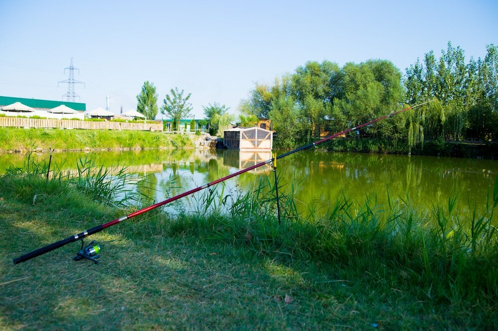 Фото Richmind Hotel