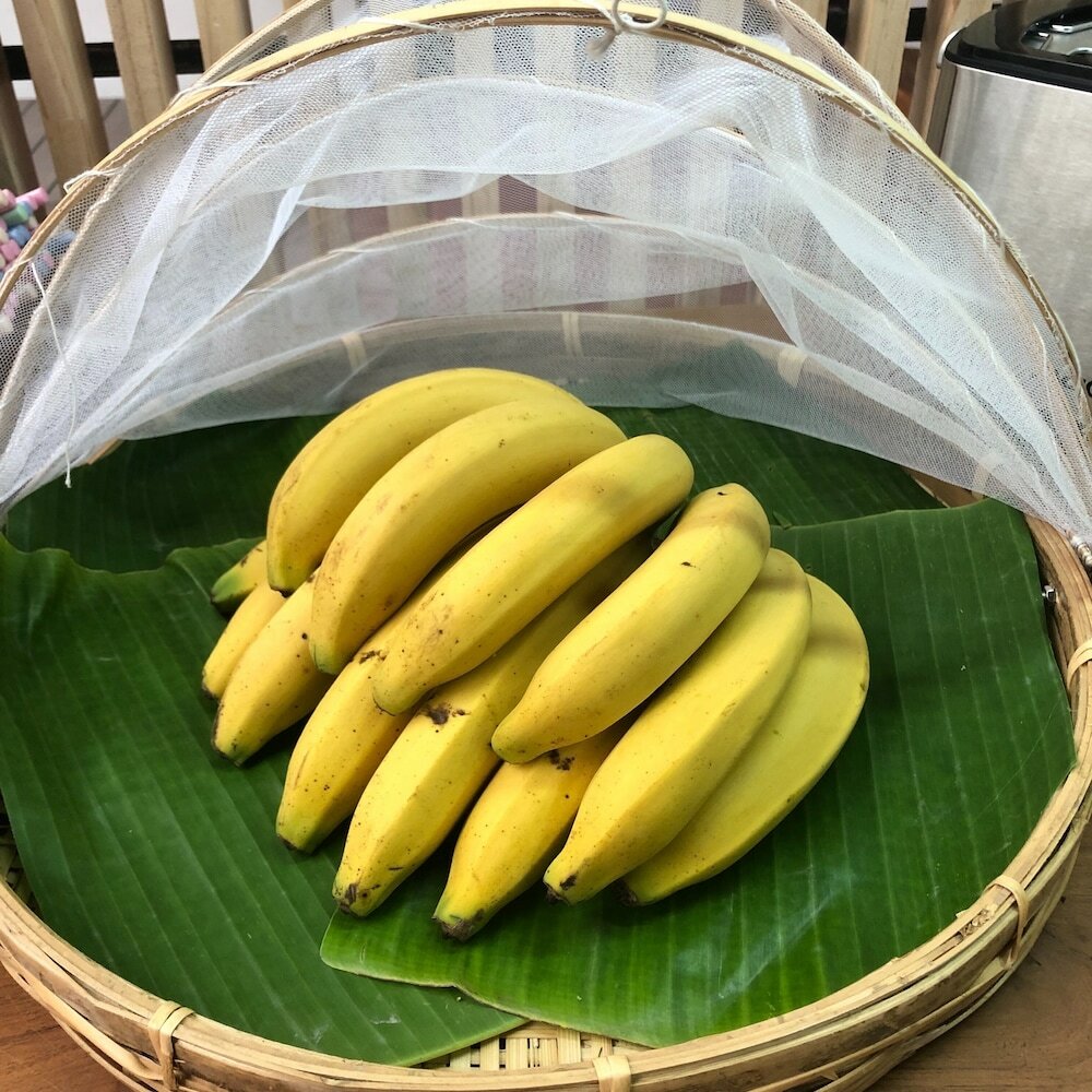 Фото Sylvis Hostel Chiangmai