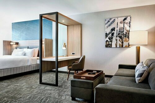 Гостиница SpringHill Suites by Marriott Atlanta Alpharetta/Roswell в Розуэлле
