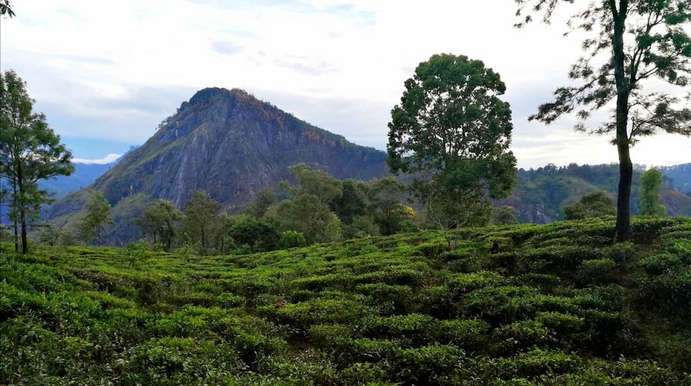 Фото Awesome Place Hotel