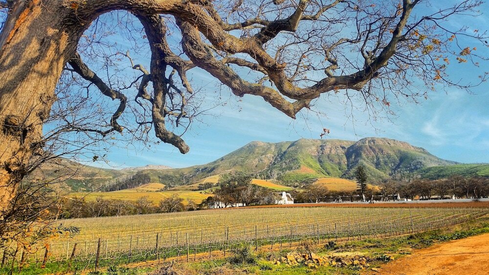 Фото Hout Bay Beach Cottage