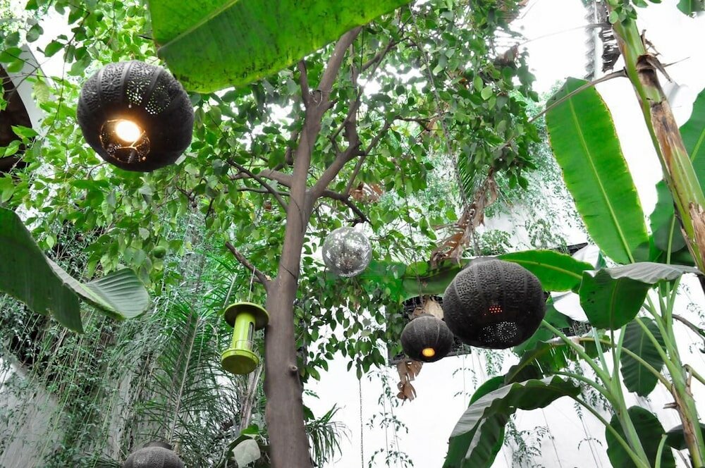 Фото Riad Tibibt