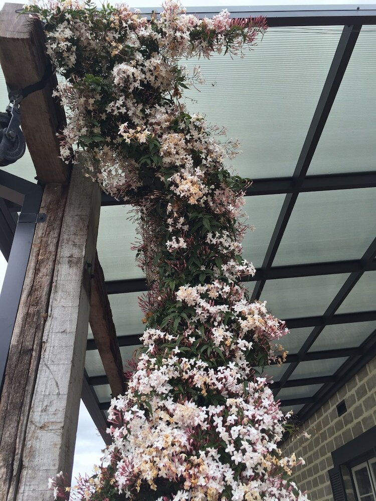 Фото Bakehouse '38 Restaurant & Guesthouse