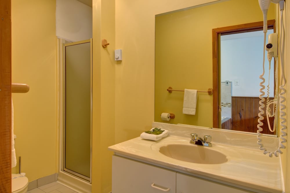 Фото Hotel Le Petit Lac