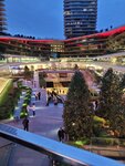 Zorlu Center (İstanbul, Besiktas District, Levazım Mah., Koru Sok., 2), shopping mall