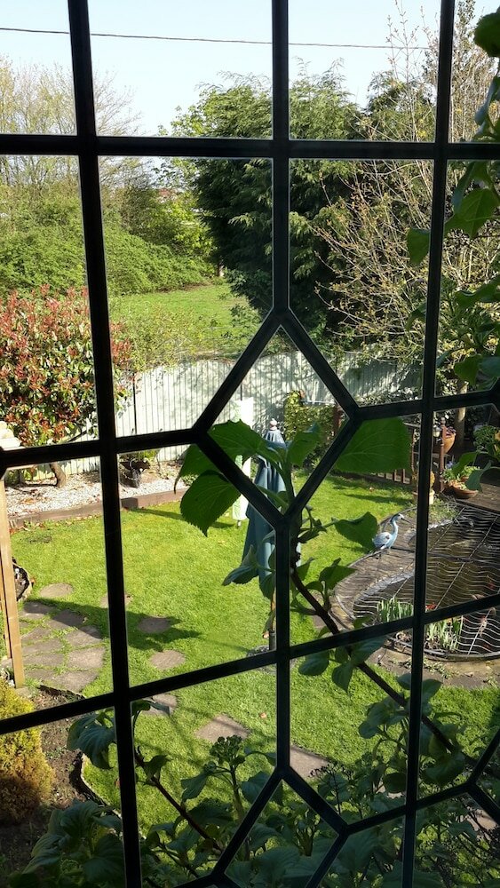 Фото The School House