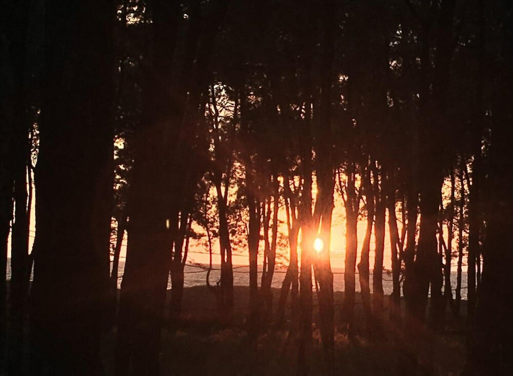 Фото Simple Pleasures Hotel