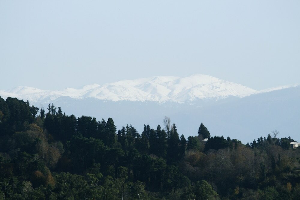 Фото Simple Pleasures Hotel