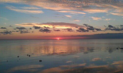 Гостиница Feriestedet Nordliv