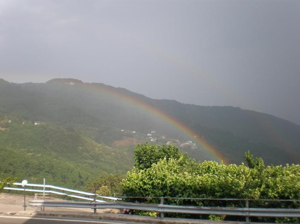 Фото Amelia Dream View