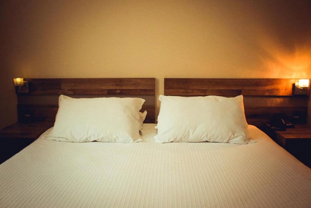 Фото Hotel Renascença