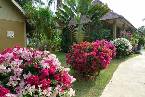 Внешний вид отеля Lanta Castaway Beach Resort в Пхре Ае, фото 4