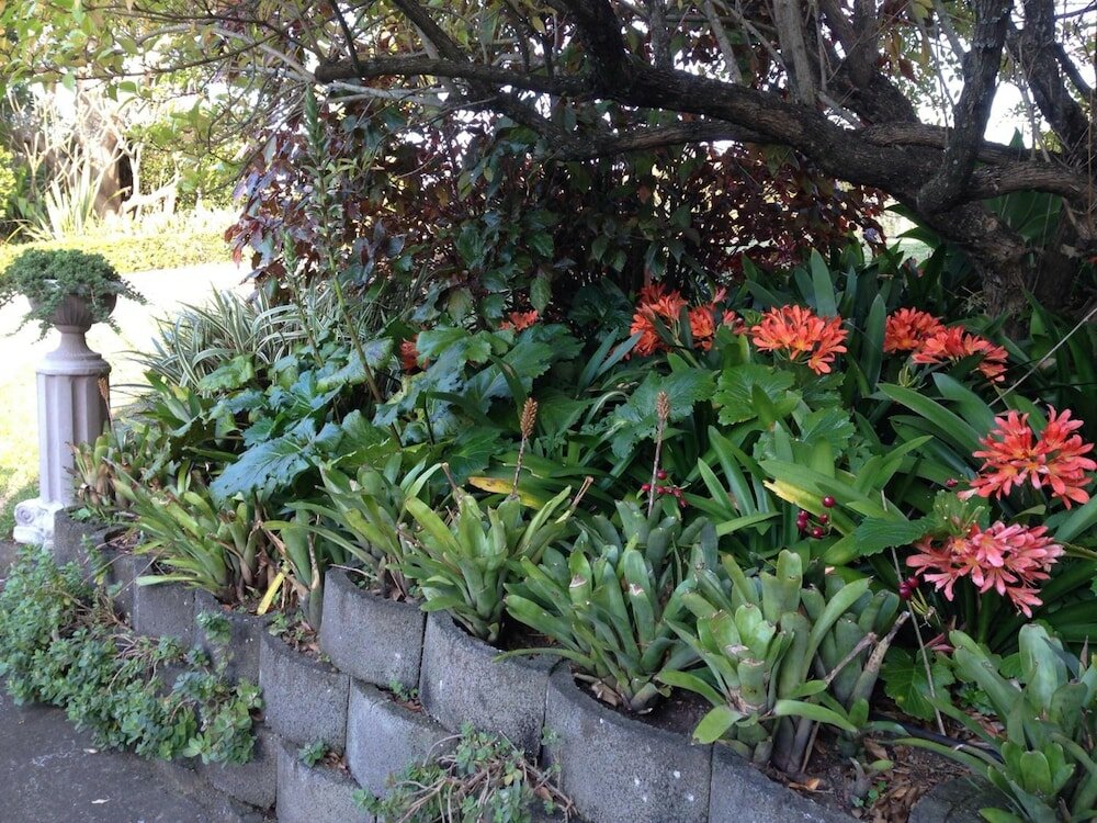 Фото TheSolution BnB