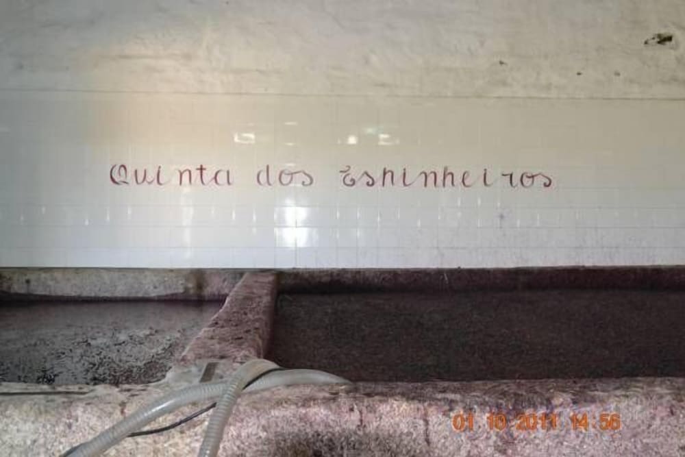 Фото Quinta dos Espinheiros