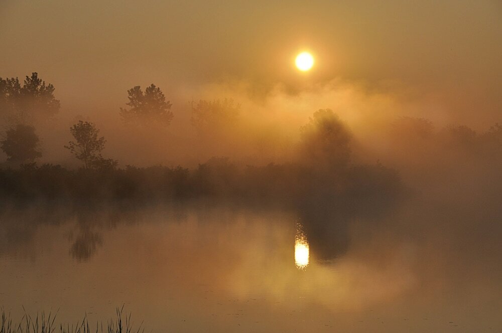 Фото Maumee Bay Lodge and Conference Center