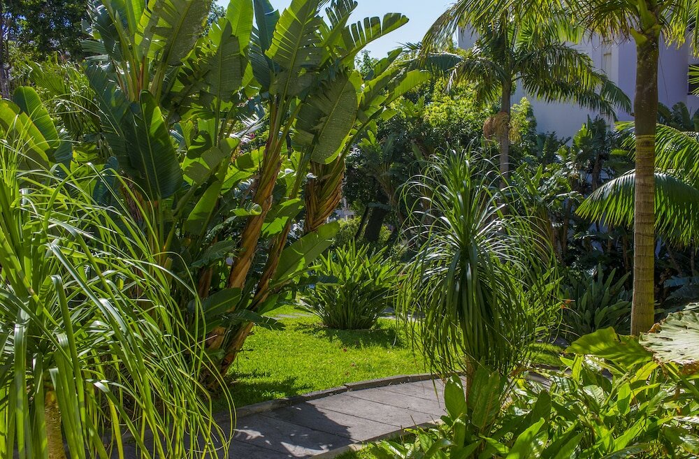 Фото Dorisol Estrelicia Hotel