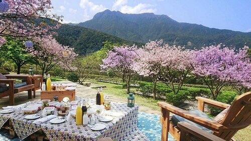 Гостиница Yangmingshan Tien Lai Resort & SPA