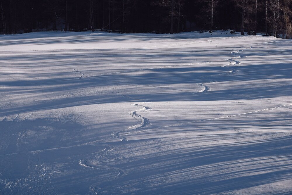 Фото Alpin Royal Wellness Refugium & Resort Hotel