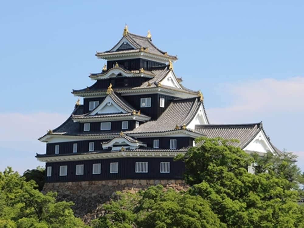 Фото Ana Crowne Plaza Okayama, an Ihg Hotel