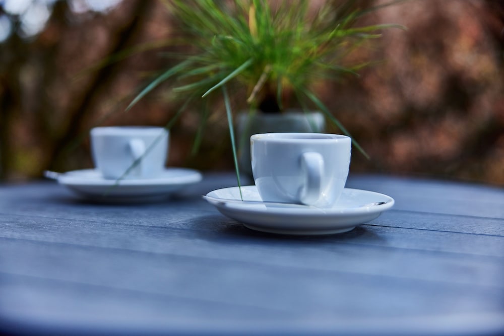 Фото Schlei Hotel