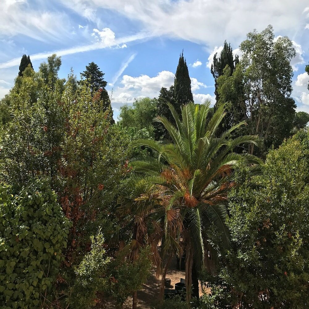 Фото Hotel Garden Area Roma Eur