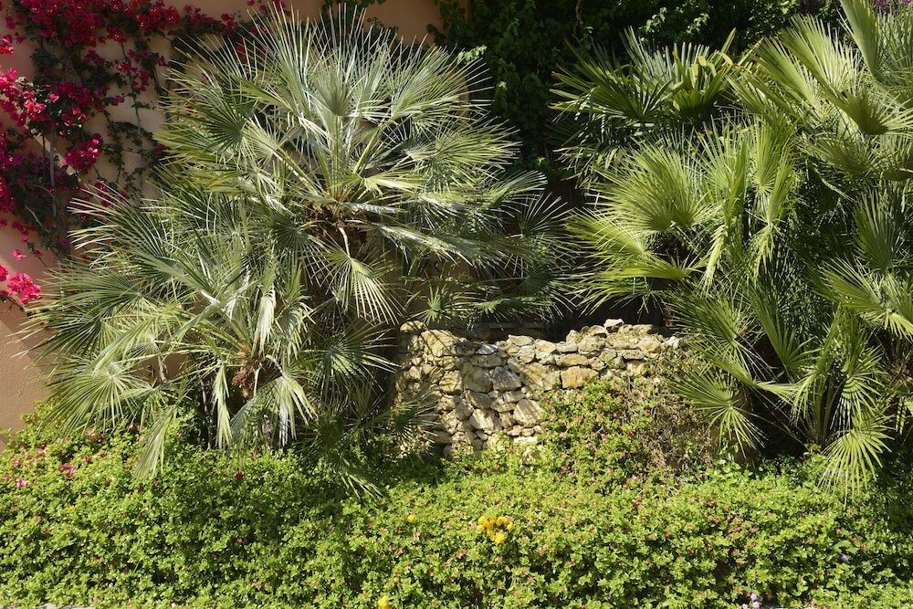 Фото Hotel Oasis