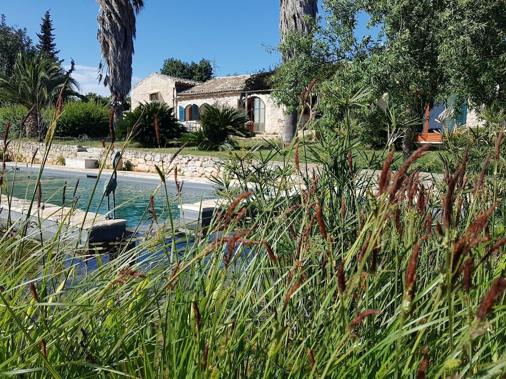 Фото Case Brizza