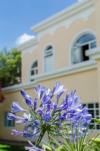 Гостиница Hotel La Casona
