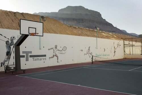 Гостиница Daniel Dead Sea в Эйн-Бокеке