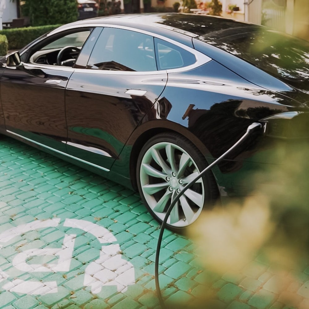 Фото Eco friendly Hotel Dalia