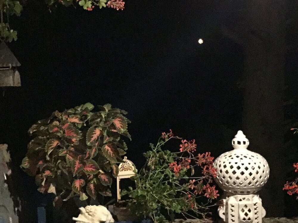 Фото B&b Mediterrando