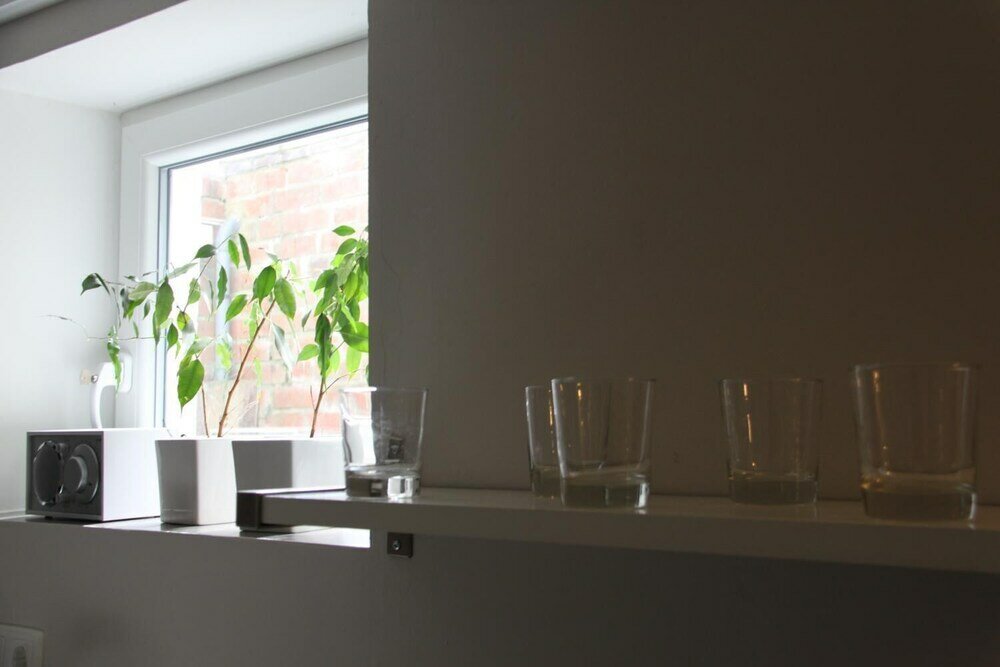 Фото Nice n Nordic 1