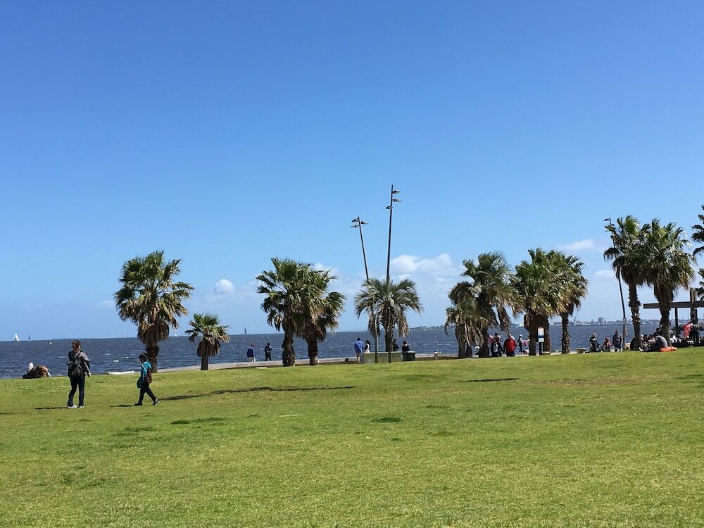 Фото Shadow Play 2Bed Ocean View Apartment