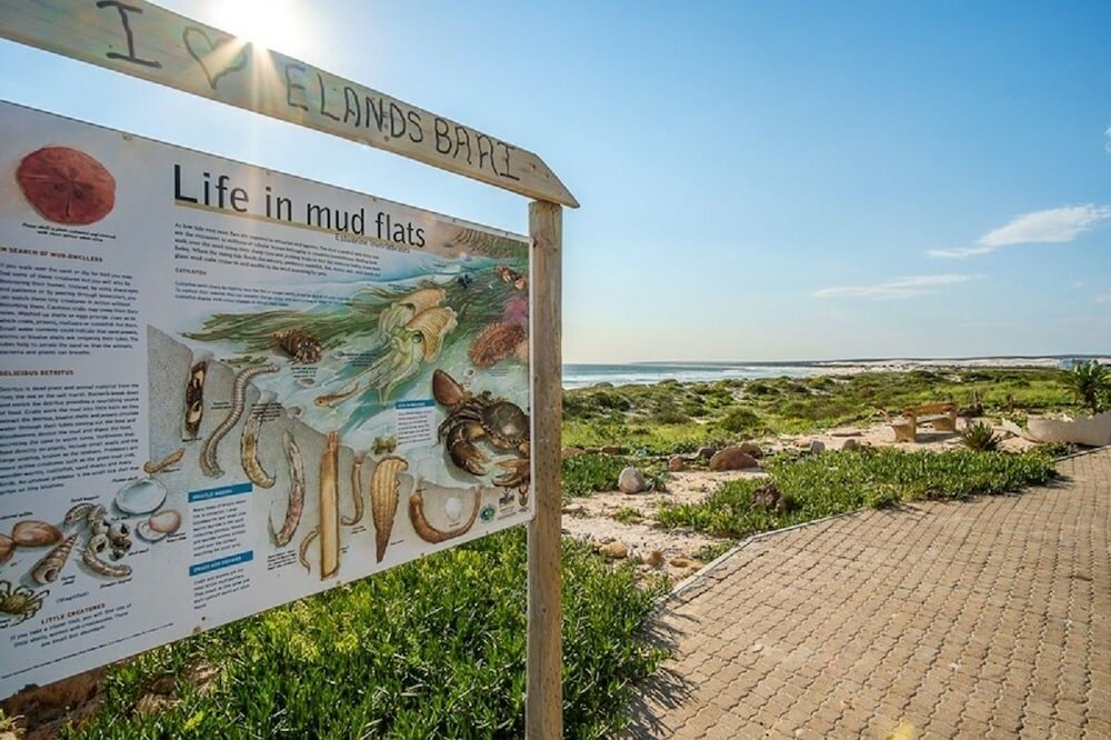 Фото Fork West Apartments - Top Floor 5