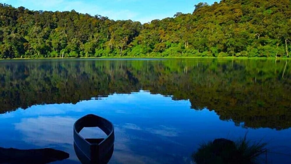 Фото Hotel Vintage Casa las Flores