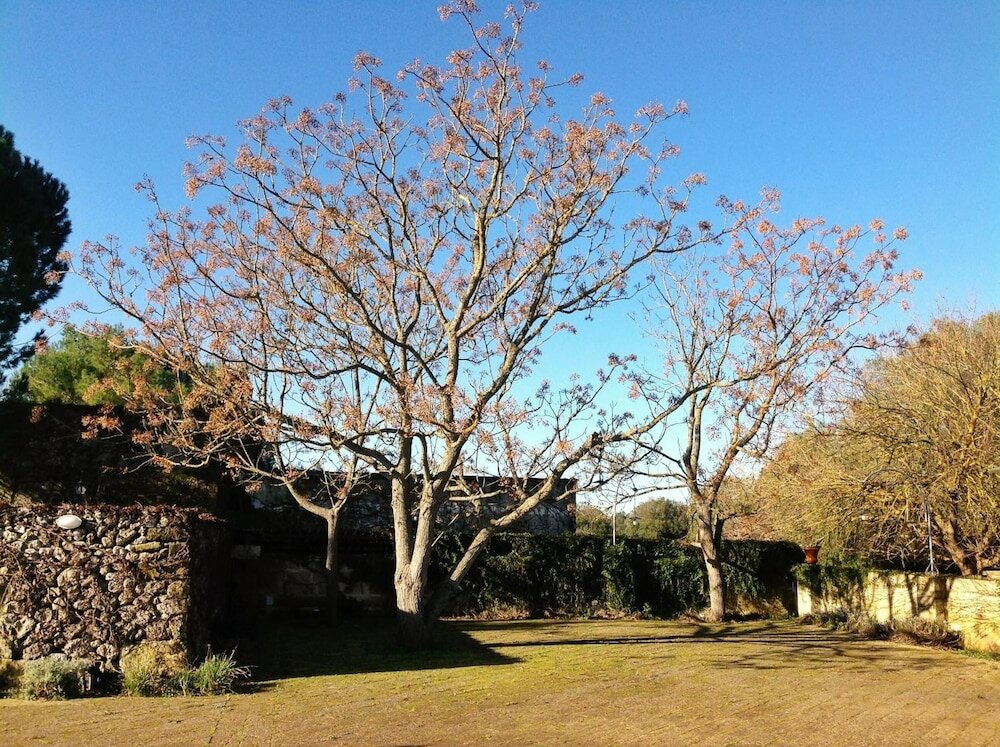 Фото Tenuta Sant'Andrea
