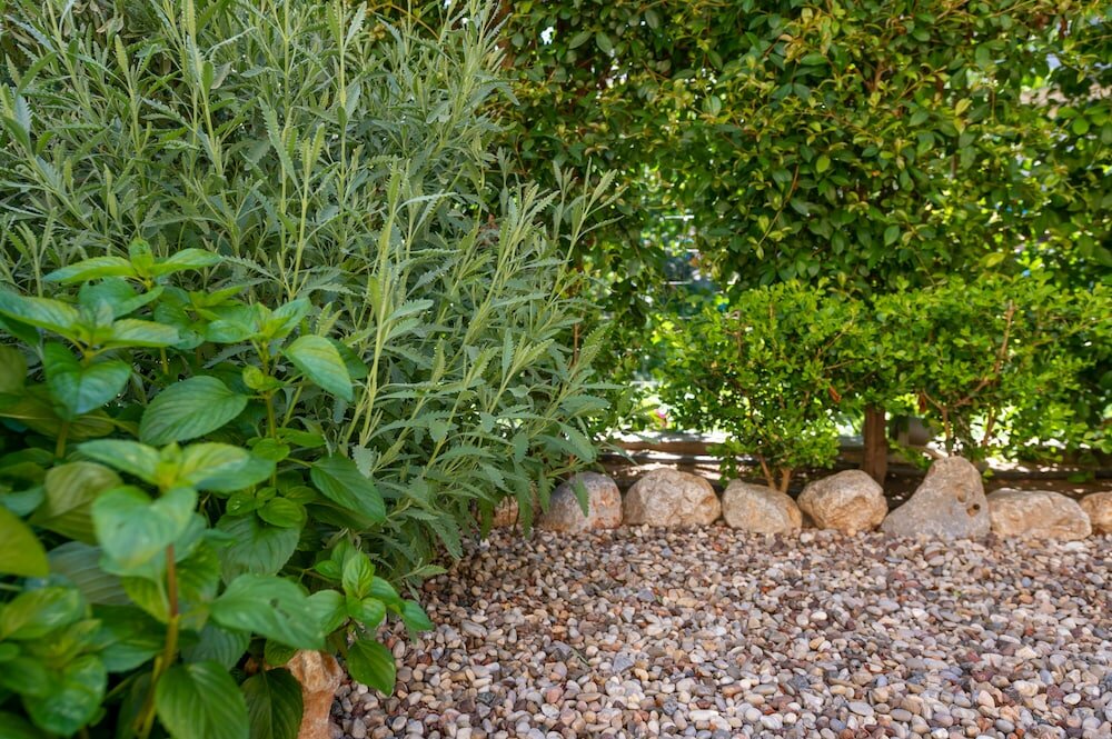 Фото City Cottage