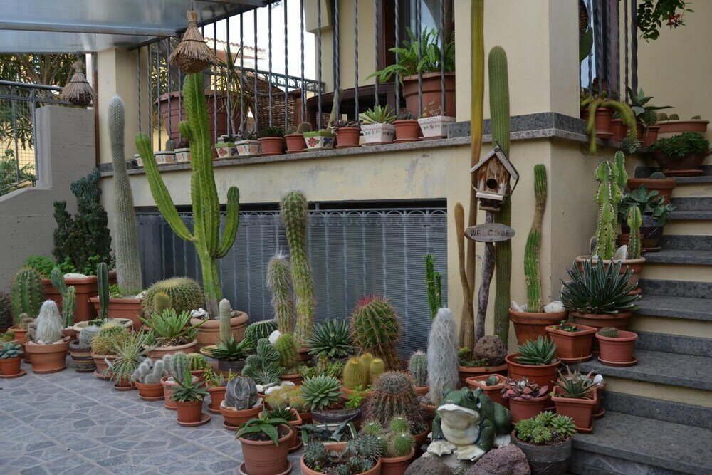 Фото Affittacamere Al Mare