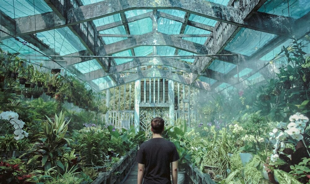 Фото Dola Hostel