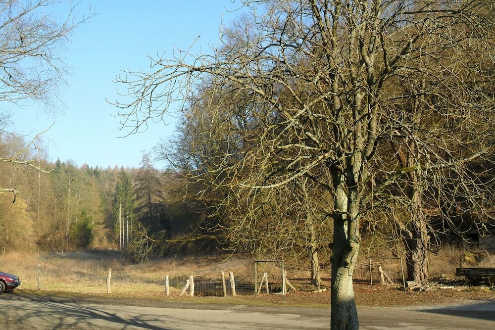 Фото Hotel Badstube