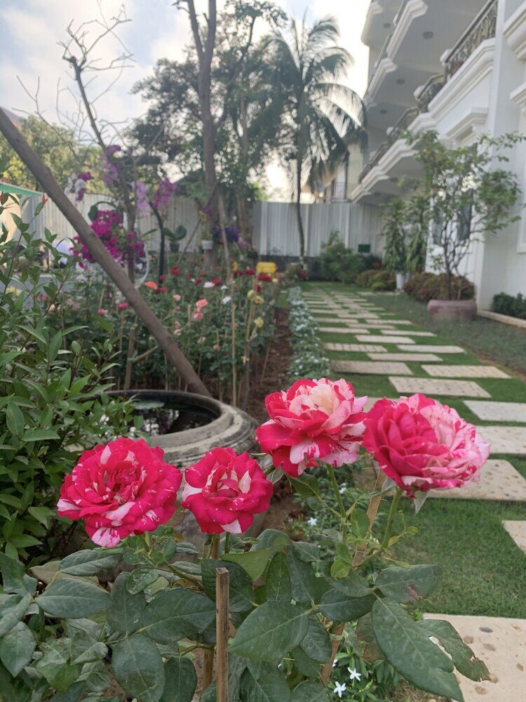 Фото Intanou Boutique Hotel Kampot