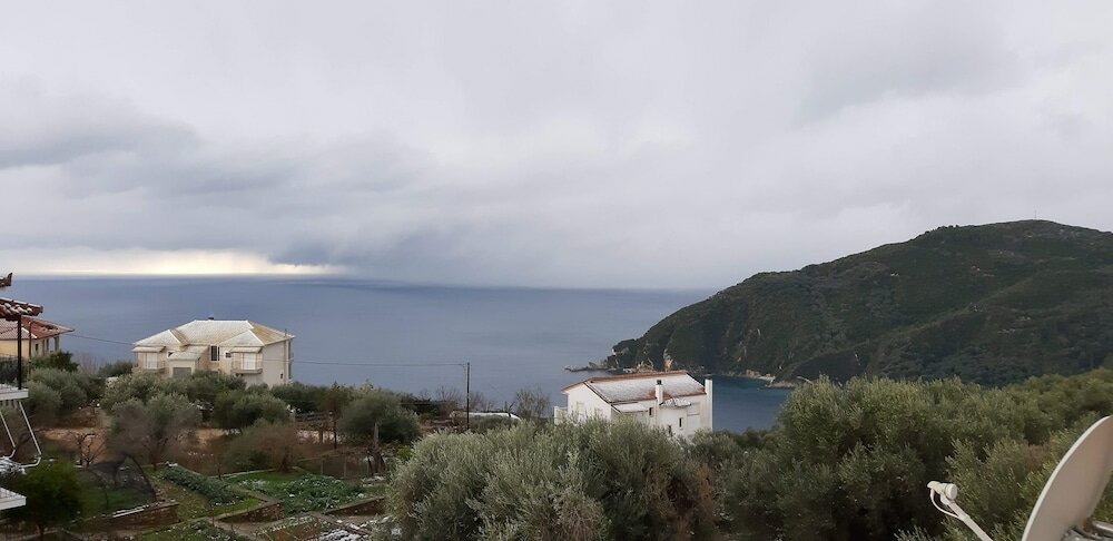 Фото Olive Tree Apartment