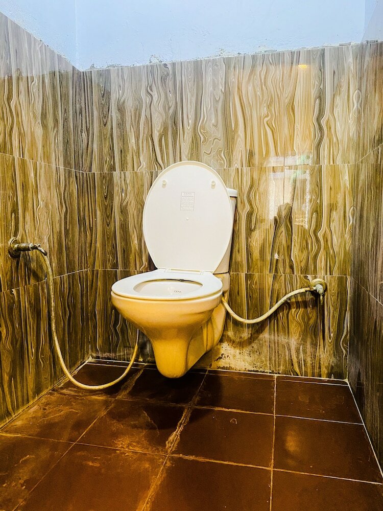 Фото Hotel Anand Palace