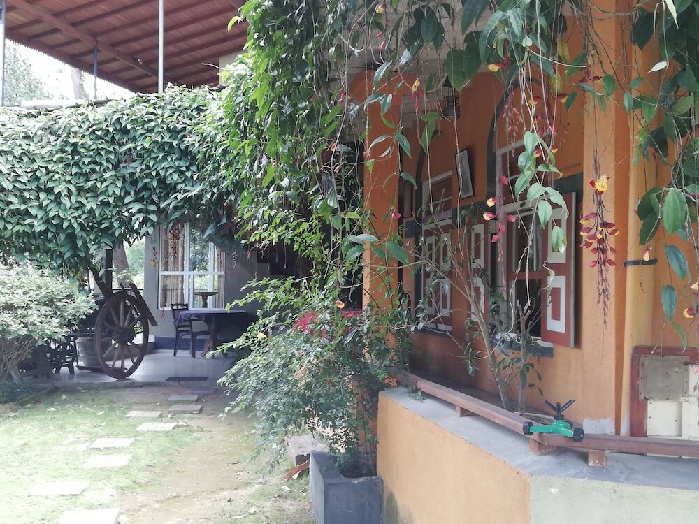 Фото Tea Garden Holiday Inn